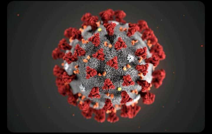 Corona Virus structure-Cellular structure